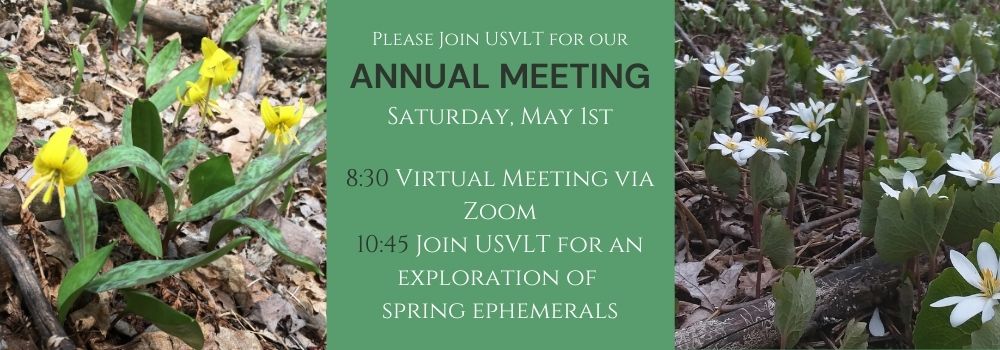 Annual Meeting banner